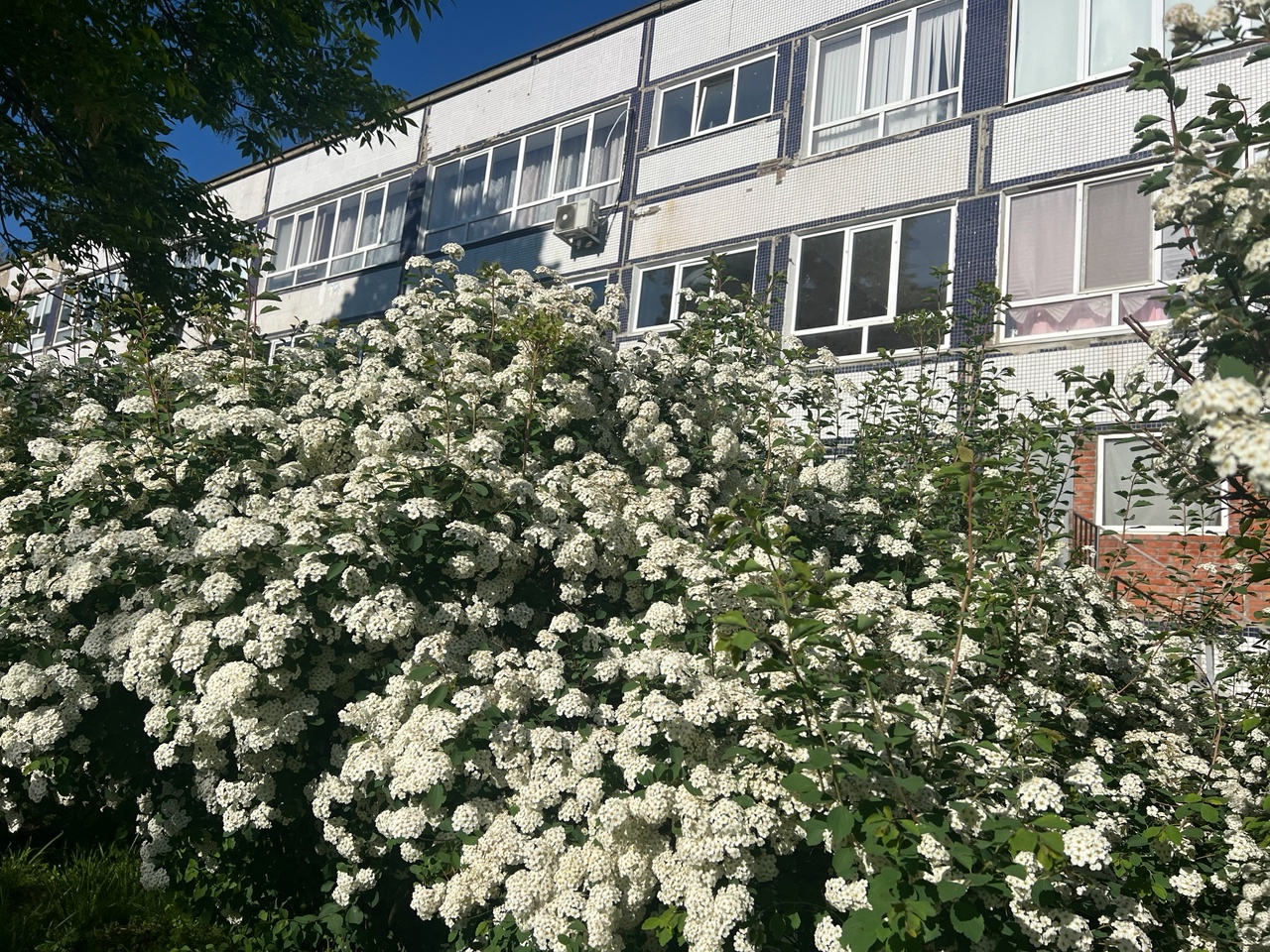 Фотографии школы.